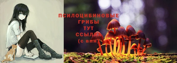 spice Баксан