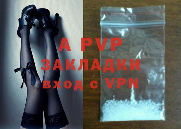крисы Белоозёрский