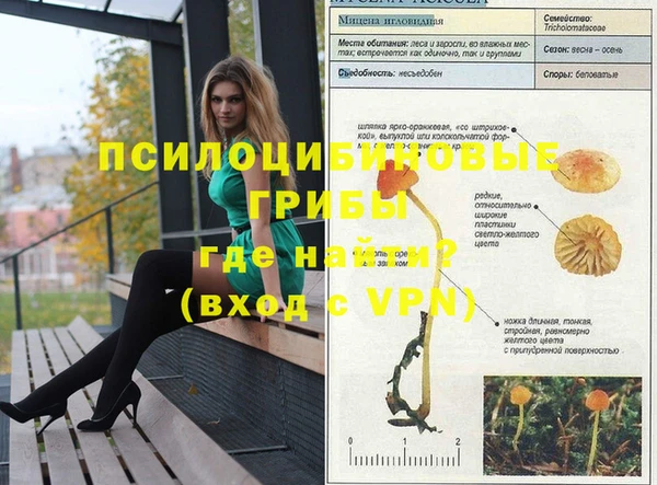 spice Баксан
