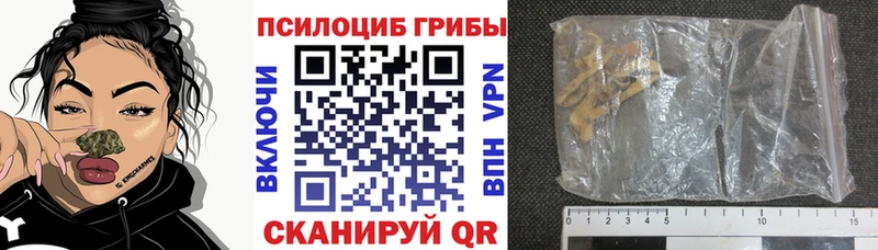 Псилоцибиновые грибы прущие грибы  где можно купить наркотик  Переславль-Залесский 